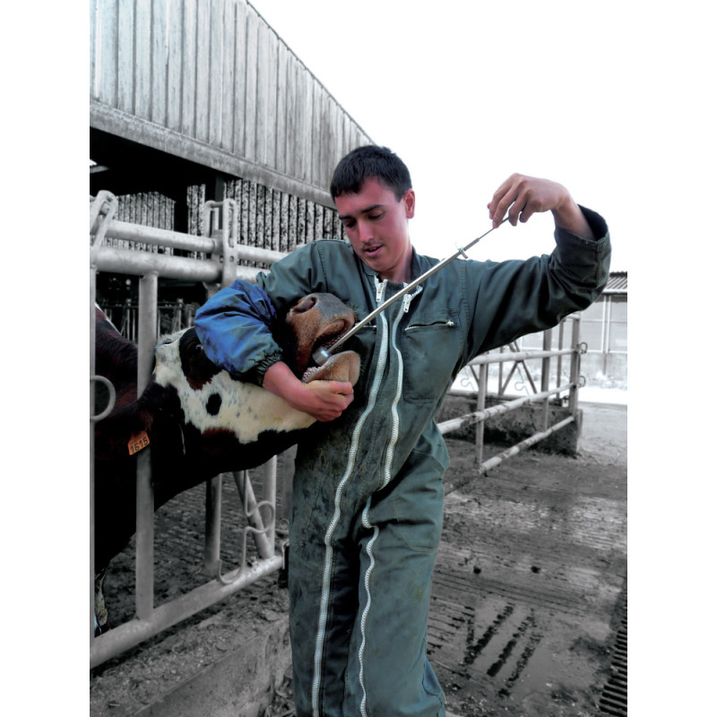 BOVIMAG® MAGNETI GABBIA